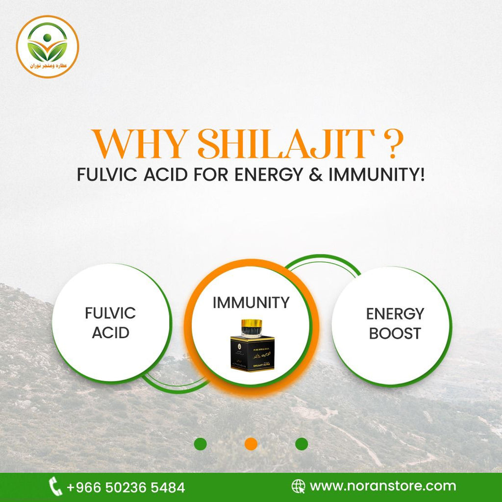 Shilajit – A Natural Treasure for Your Health