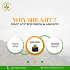 Shilajit – A Natural Treasure for Your Health